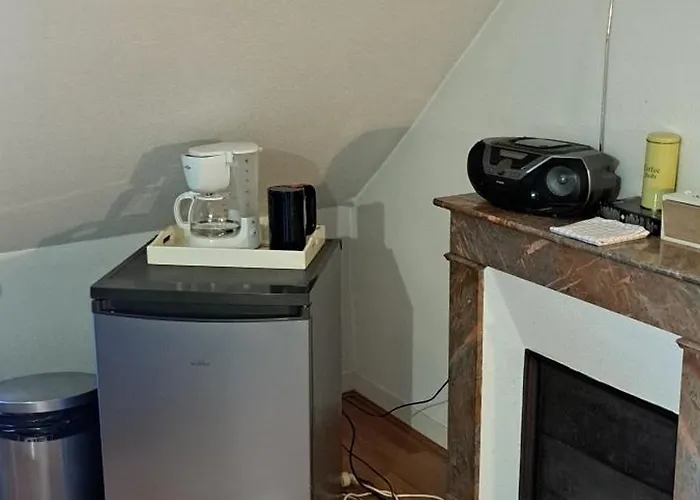 Le Nid D'anatole * 르망